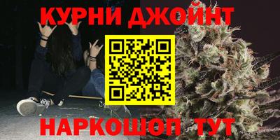 Альфа ПВП Гатчина