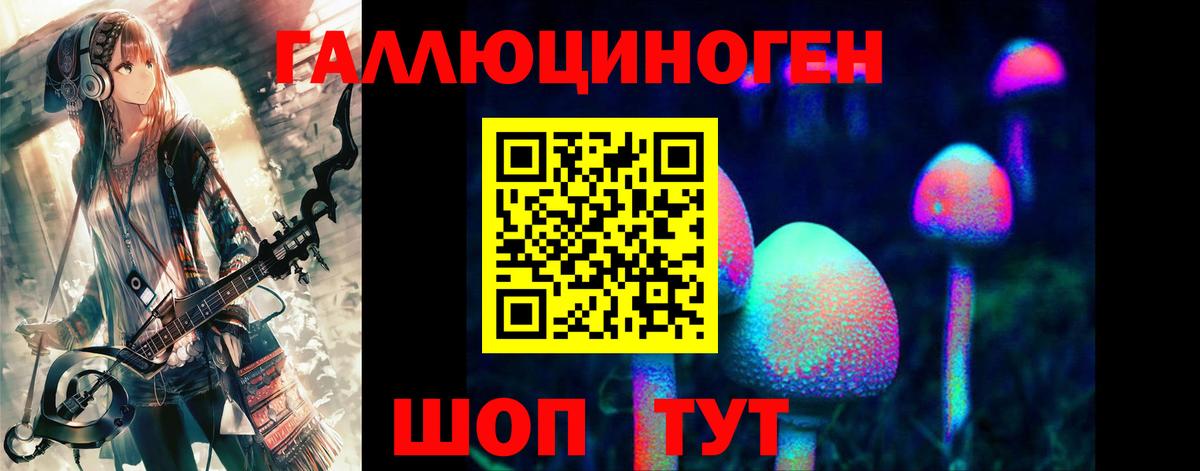 Псилоцибиновые грибы GOLDEN TEACHER Мурино